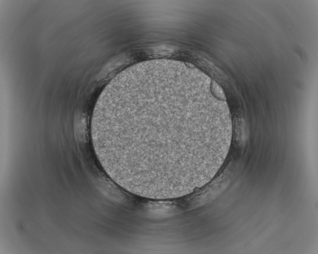X0000112400378200909251441