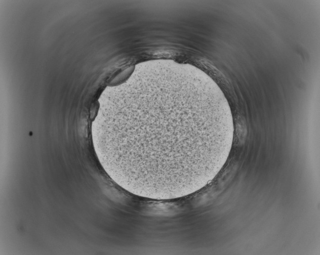 X0000112400379200909251441