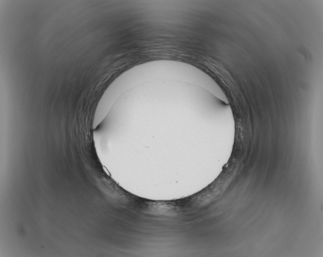 X0000112400380200909251441