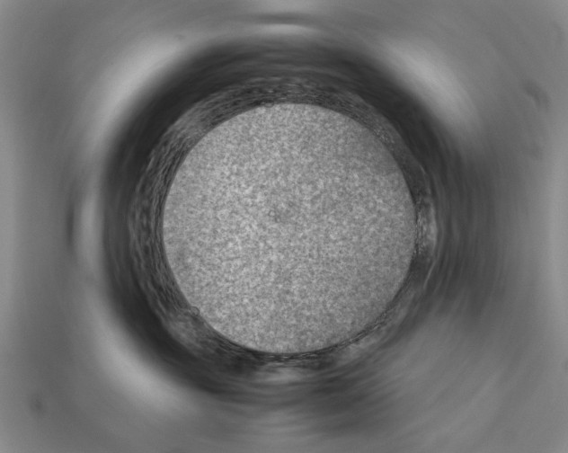 X0000112400381200909251441