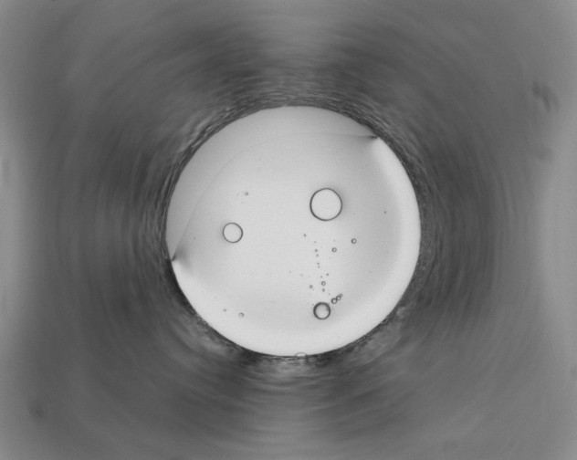 X0000112400384200909251441