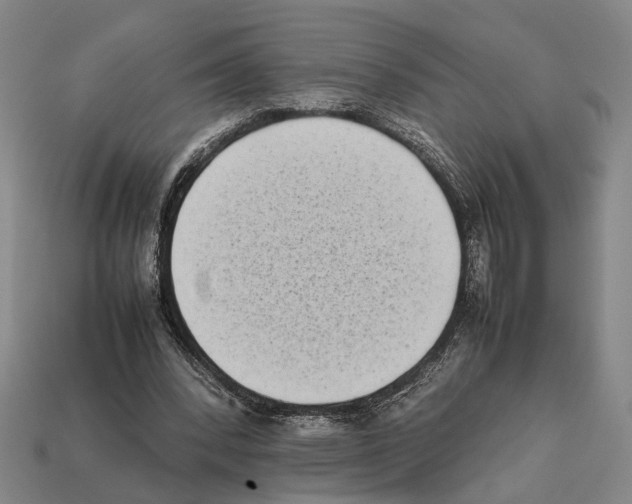 X0000112400392200909251440