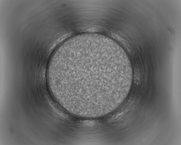 X0000112400394200909251440