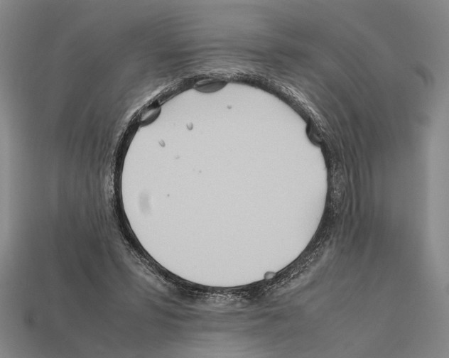 X0000112400399200909251440
