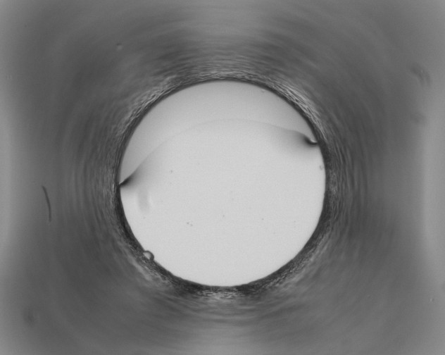 X0000112400401200909251440