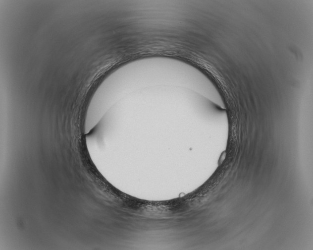 X0000112400403200909251440