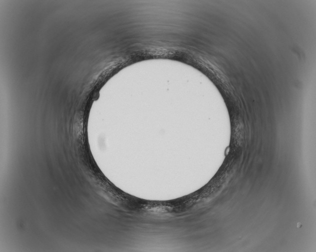 X0000112400407200909251440