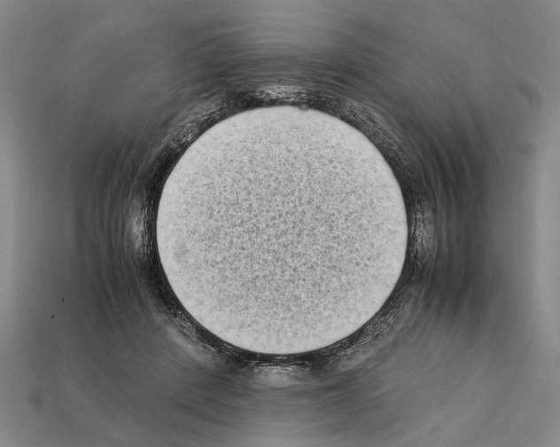 X0000112400408200909251440
