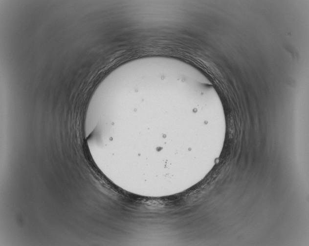 X0000112400409200909251440