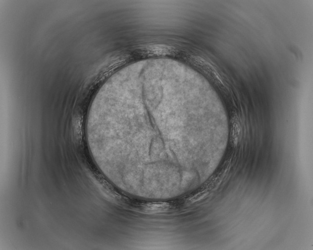 X0000112400410200909251440