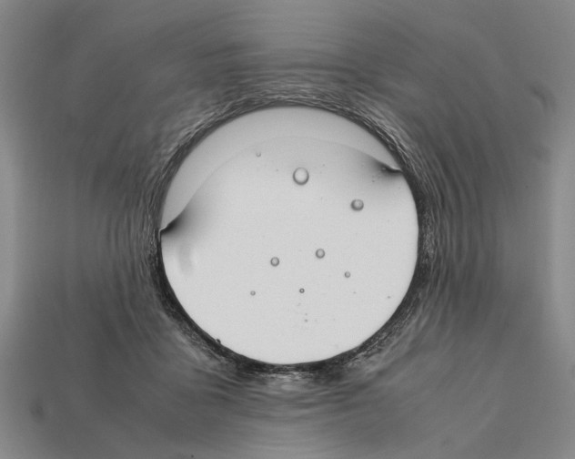 X0000112400411200909251440