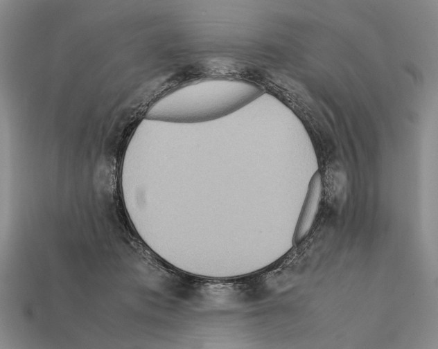 X0000112400413200909251440