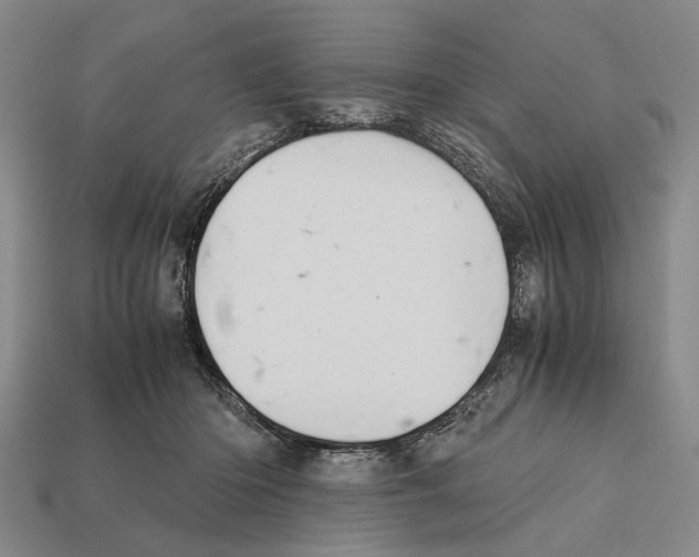X0000112400414200909251440