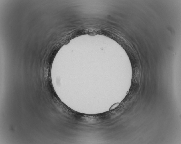 X0000112400417200909251440