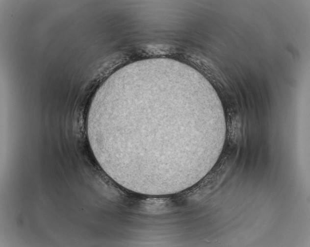 X0000112400418200909251440