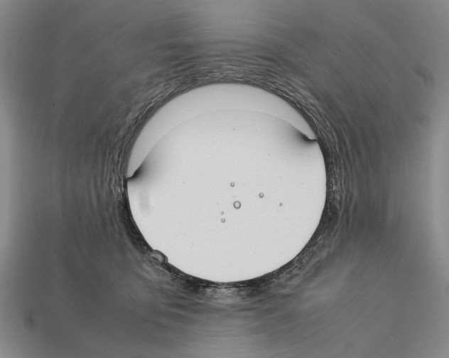 X0000112400419200909251440