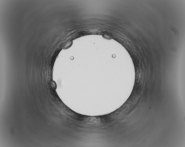 X0000112400421200909251440