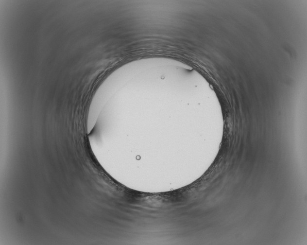 X0000112400423200909251440
