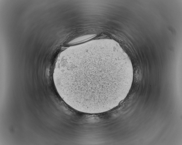 X0000112400424200909251439