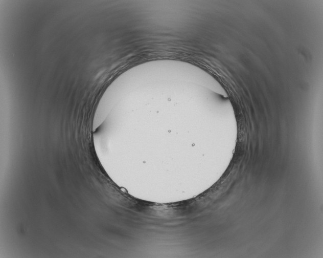 X0000112400425200909251439