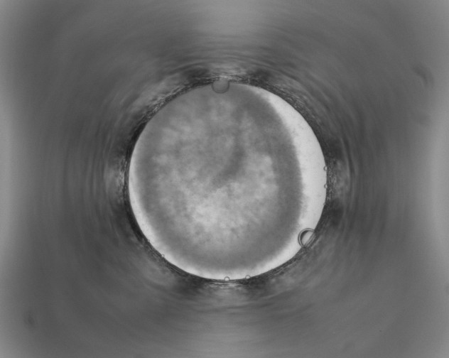 X0000112400427200909251439