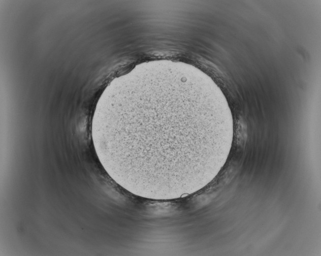 X0000112400428200909251439