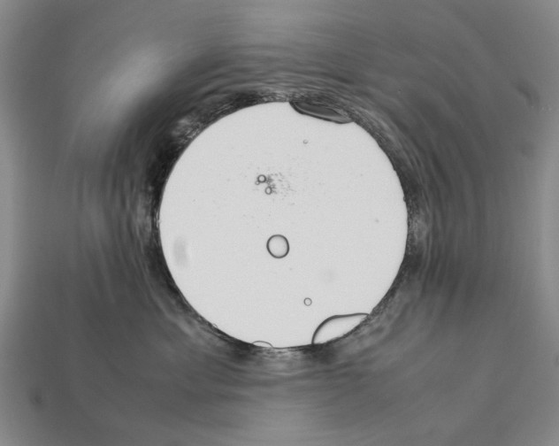 X0000112400429200909251439