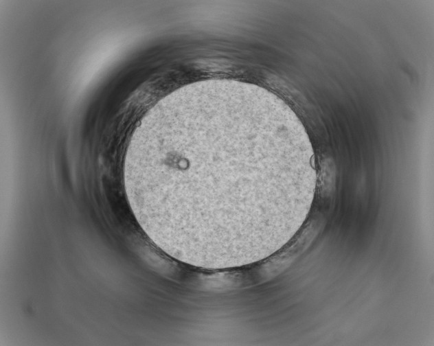 X0000112400430200909251439