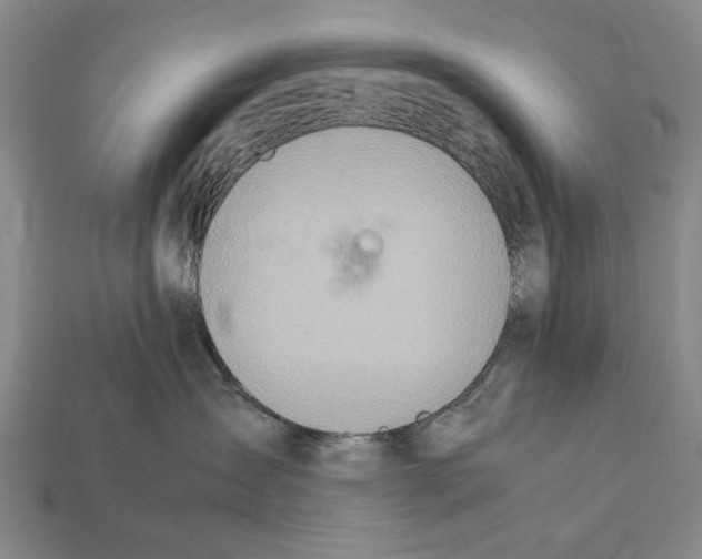 X0000112400431200909251439