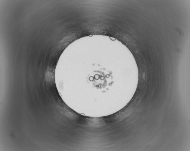 X0000112400432200909251439