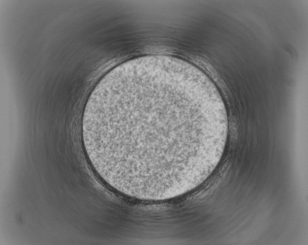 X0000112400433200909251439