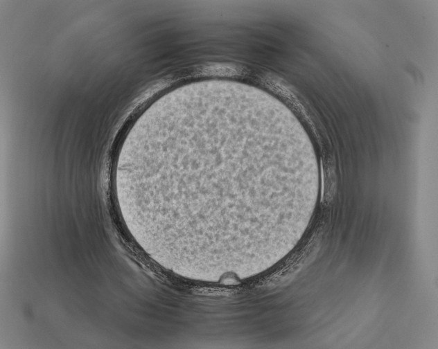 X0000112400435200909251439