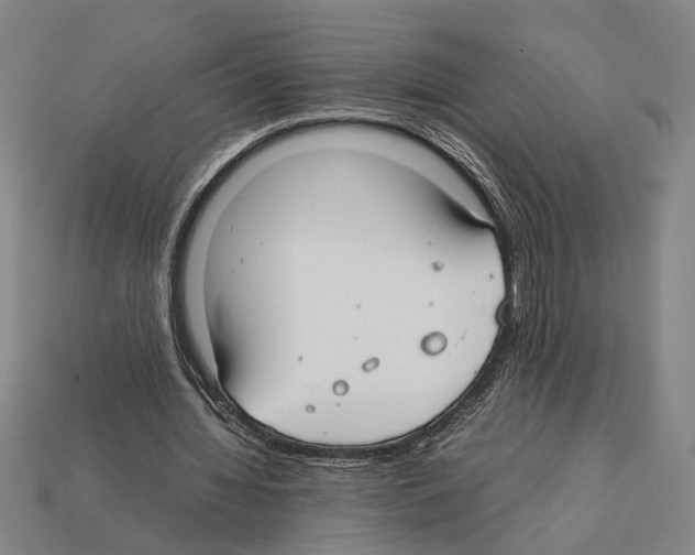 X0000112400436200909251439