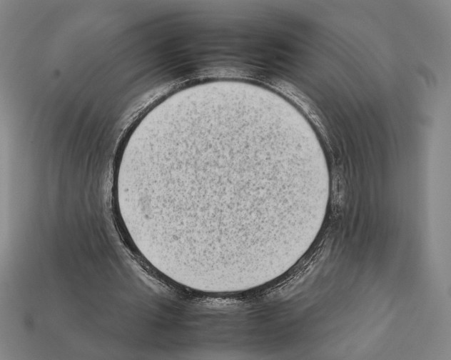 X0000112400437200909251439
