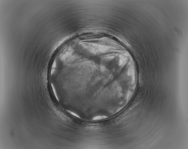 X0000112400438200909251439