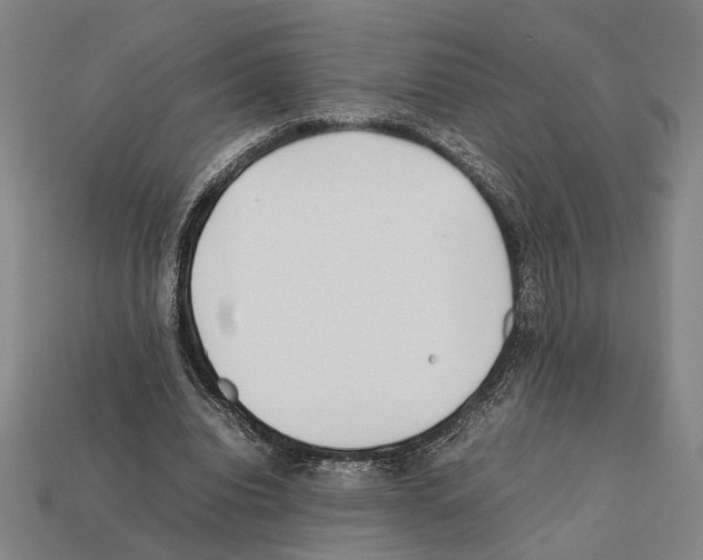 X0000112400440200909251439