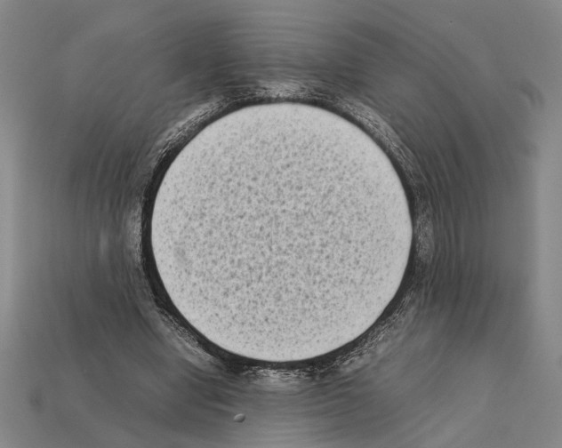 X0000112400442200909251439