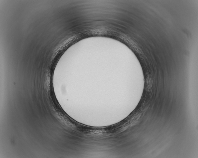 X0000112400446200909251439