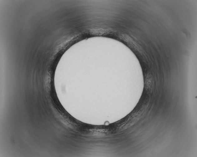 X0000112400448200909251439
