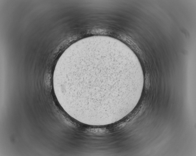 X0000112400449200909251439