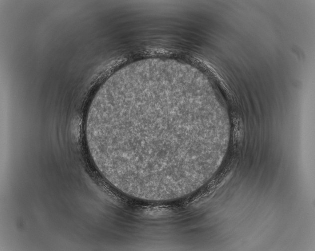 X0000112400451200909251439