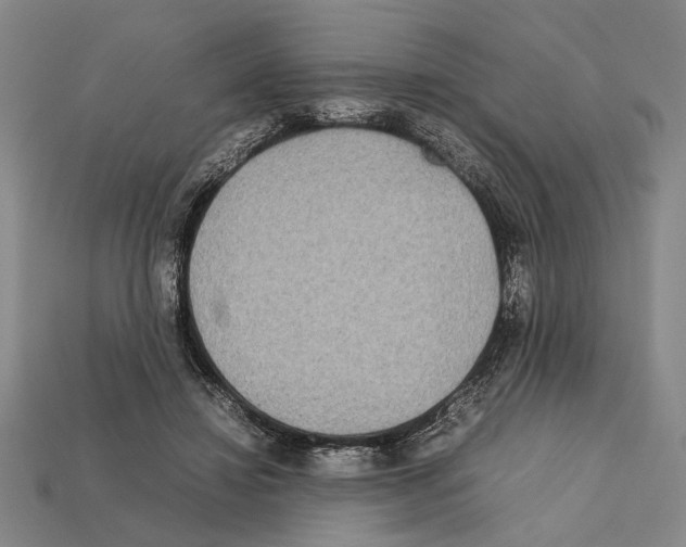 X0000112400452200909251439