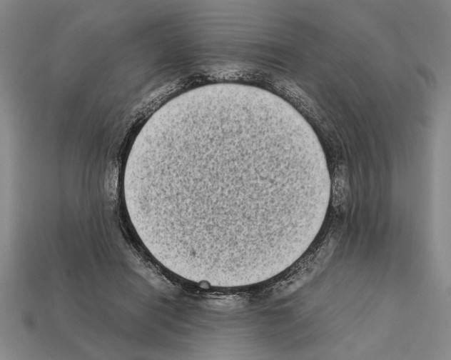 X0000112400454200909251439