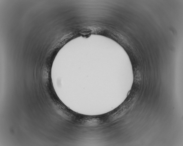 X0000112400456200909251439