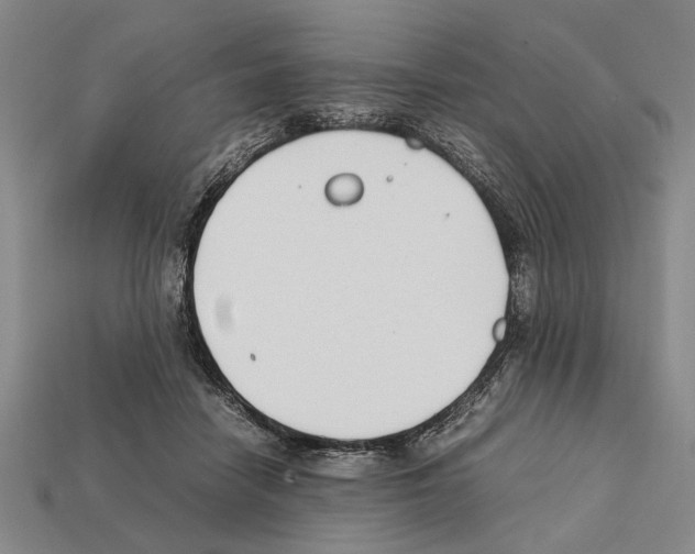 X0000112400458200909251439