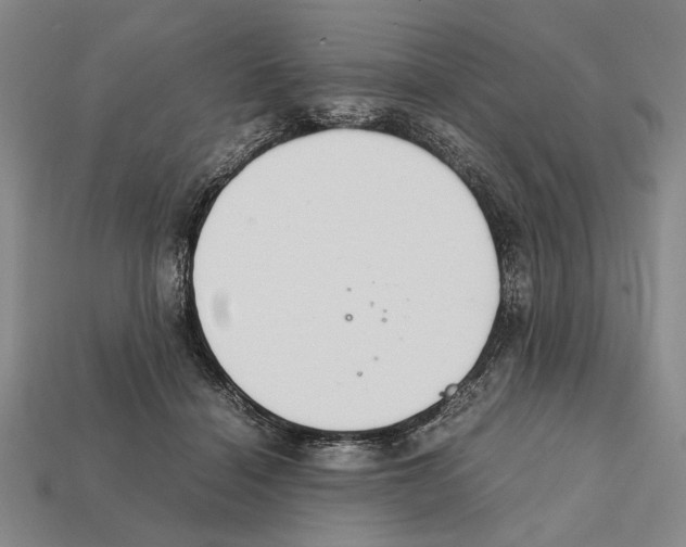 X0000112400460200909251439