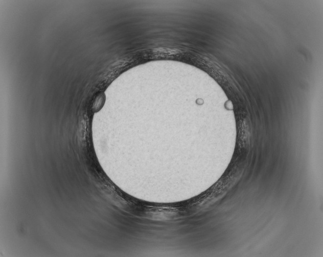 X0000112400463200909251439