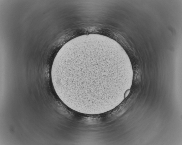 X0000112400466200909251439