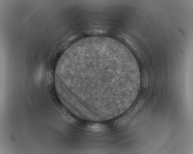 X0000112400467200909251439