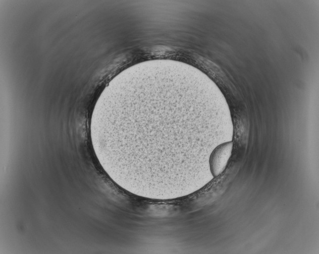 X0000112400470200909251439